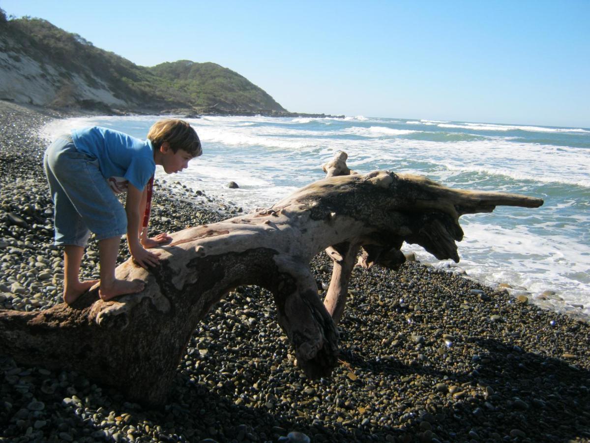Driftwood Treehouse Hotel Sunrise-on-Sea Exterior photo