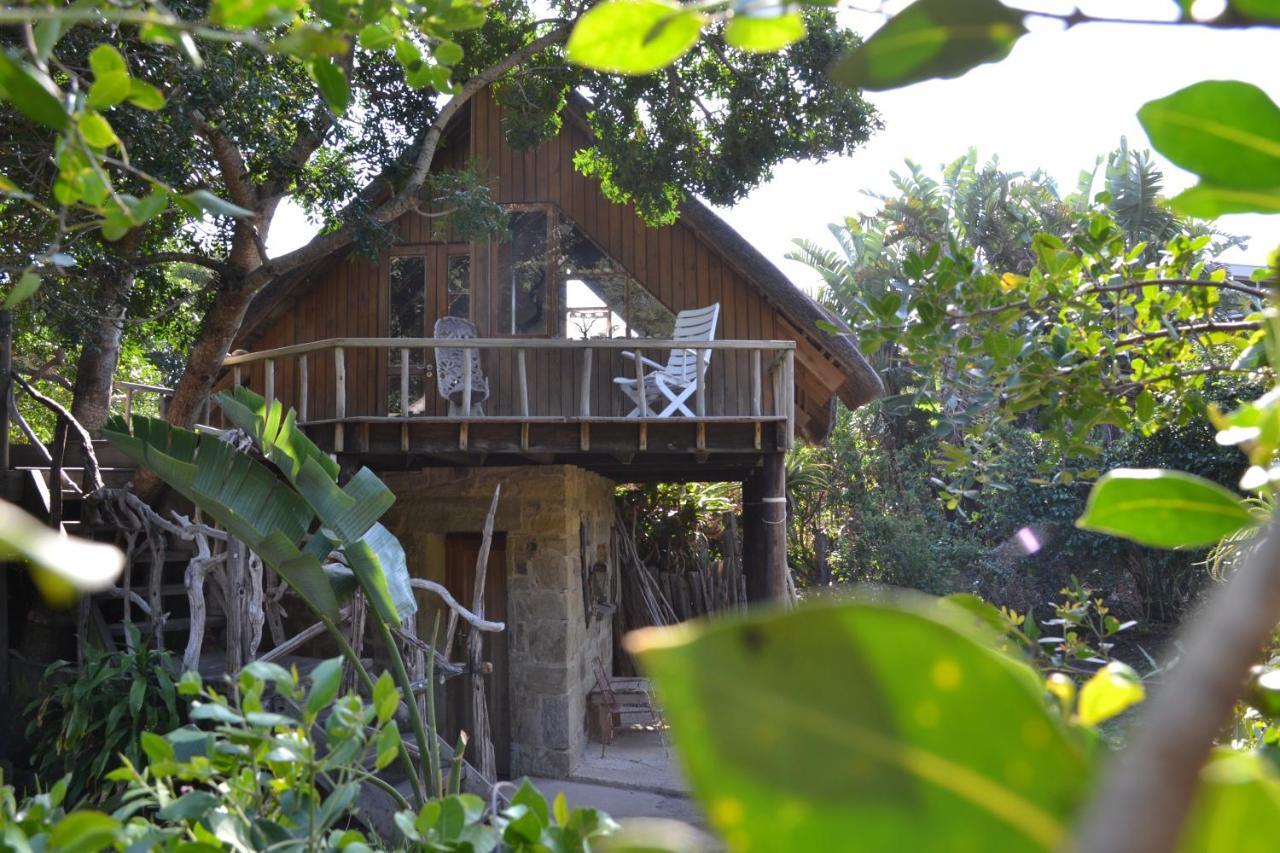 Driftwood Treehouse Hotel Sunrise-on-Sea Exterior photo